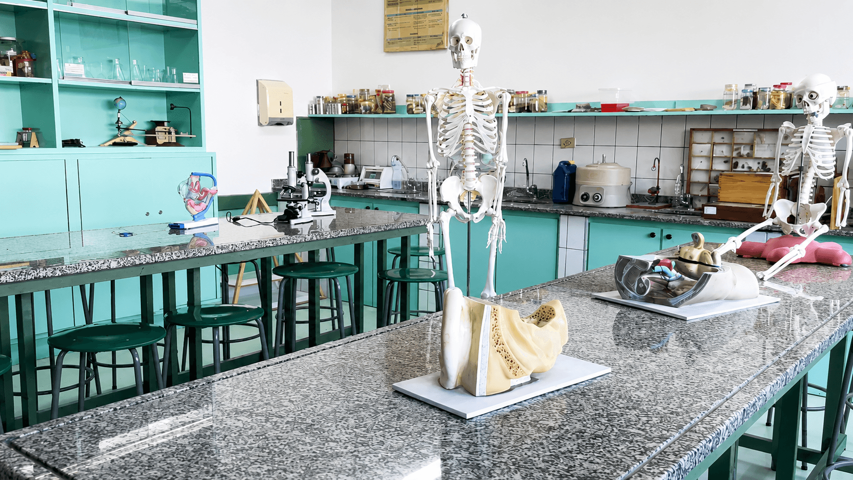 Laboratório de ciências integradas para aulas práticas e experimentos